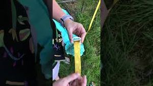 Video post by @ripstopbytheroll on YouTube