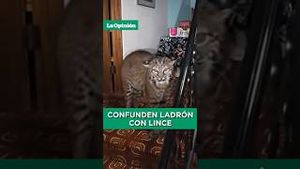Video post by @laopinionla on YouTube