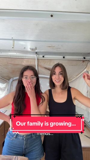 Video post by @allieandsam on TikTok