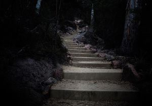 Image post by @jc_burke on Instagram
