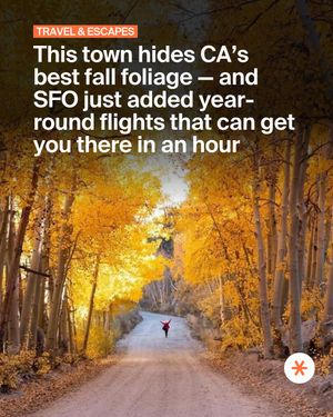 Image post by @secret_sanfrancisco on Instagram