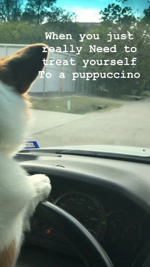 Video post by @MTZLER on Facebook