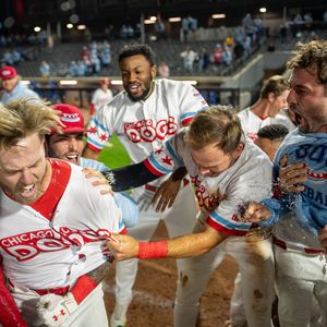 Image post by @thechicagodogs on Instagram