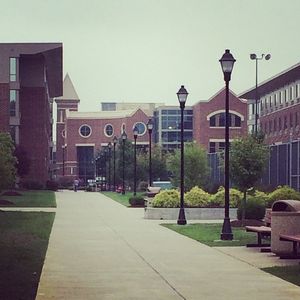 Image post by @marshallu on Instagram