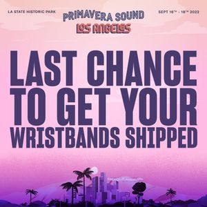 Image post by @primaverasoundla on Instagram