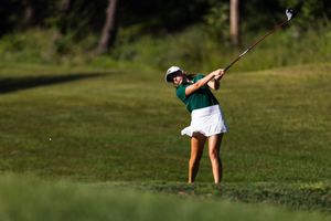 Image post by @ohiowgolf on Twitter