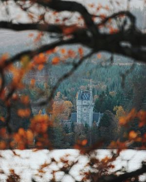 Image post by @kirstenalana on Instagram