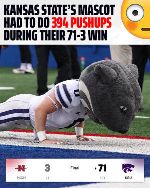 Image post by @draftkings on TikTok