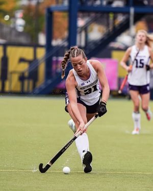 Image post by @nufhcats on Instagram