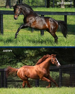 Image post by @coolmoreamerica on Instagram