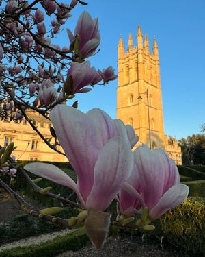 Image post by @oxford_uni on Instagram