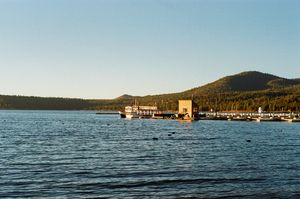 Image post by @laisamaras_dp on Instagram