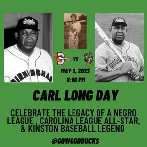 Image post by @GoWoodDucks on Twitter