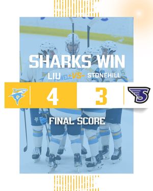 Image post by @liumhockey on Instagram