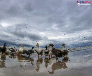 Image post by @royaei_abi_keyvan on Instagram