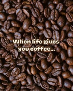 Image post by @coppercowcoffee on Instagram