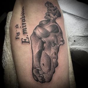 Image post by @jessfoxtattoos on Instagram