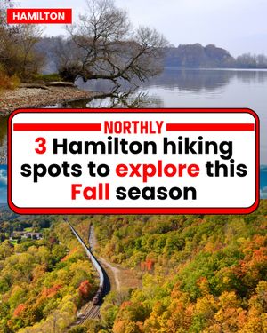 Image post by @northlyhamilton on Instagram