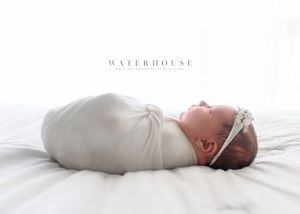 Image post by @waterhousestudios on Instagram
