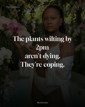 Image post by @cottonblu on Instagram