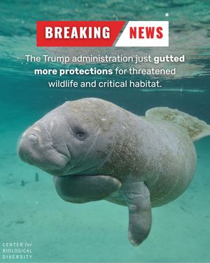 Image post by @centerforbiodiv on Instagram