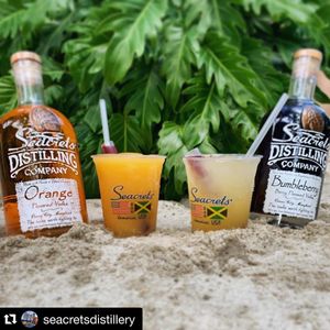 Image post by @seacretsusa on Instagram