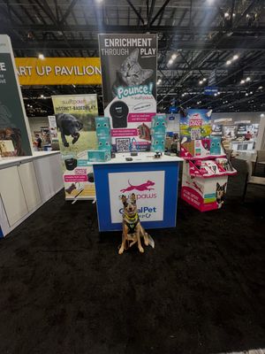 Image post by @swiftpaws_official on Instagram
