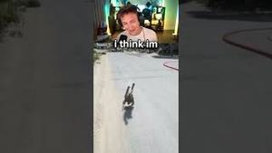 Video post by @ninja on YouTube