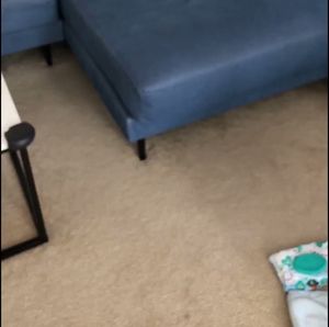 Video post by @caleb_natale on Twitter/X