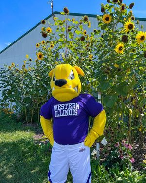 Image post by @westerniluniv on Instagram