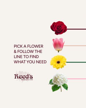 Image post by @reedsflorists on Instagram