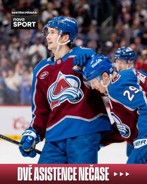 Image post by @nhlcesko on Instagram