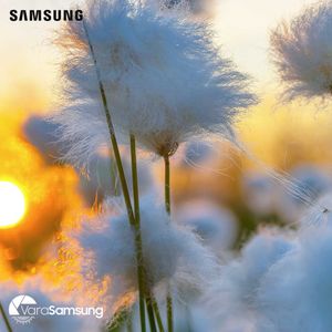 Image post by @samsungromania on Instagram
