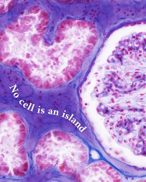 Image post by @biohub on Instagram