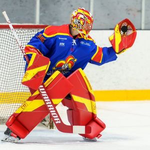 Image post by @goaliegearnerd on Instagram
