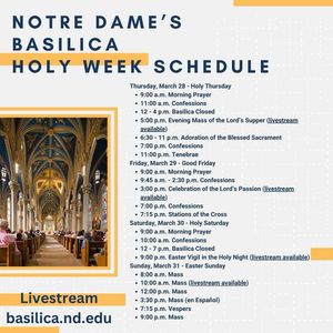 Image post by @ndcla on Instagram