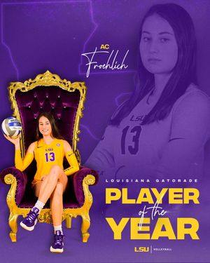 Image post by @lsuvolleyball on Twitter
