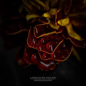Image post by @lathanuelf_photos on Instagram
