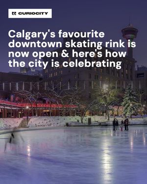 Image post by @curiocitycalgary on Instagram