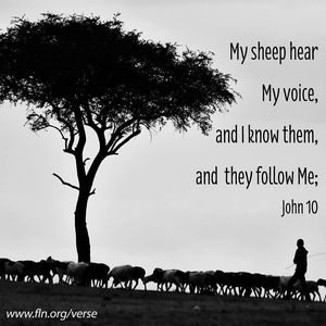 Image post by @familylifenypa on Instagram
