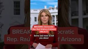 Video post by @msnbc on YouTube