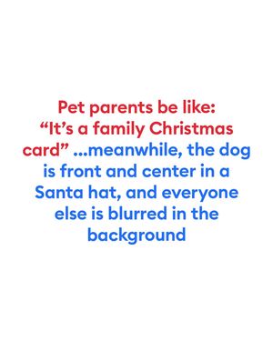 Image post by @petsmart on Instagram