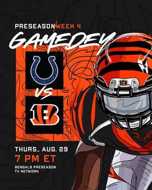 Image post by @bengals on Instagram