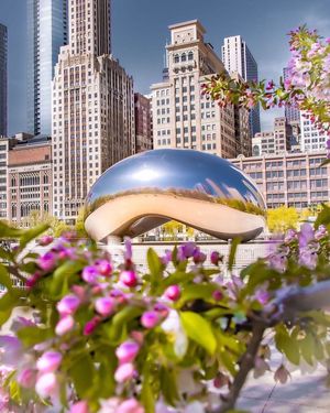 Image post by @chicago.explore on Instagram
