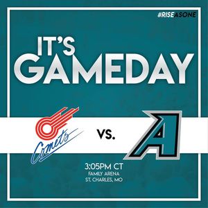 Image post by @stlouisambush on Instagram