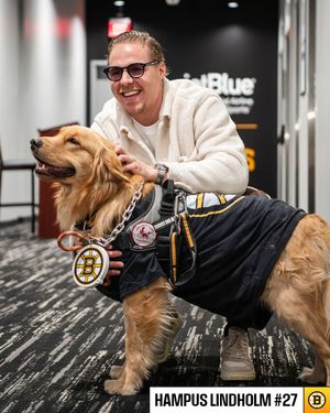 Image post by @nhl on Instagram