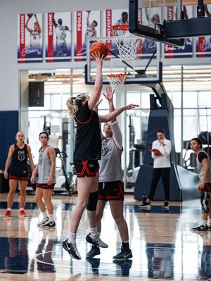 Image post by @beaverwbb on Instagram