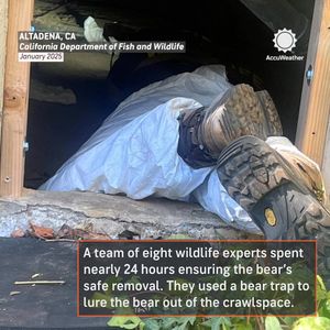Video post by @accuweather on Facebook
