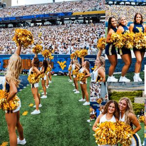 Image post by @wvudanceteam on Instagram