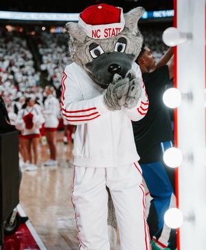 Image post by @packathletics on Instagram